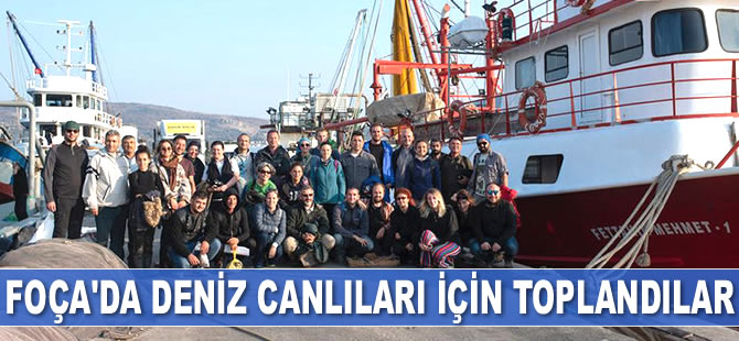 Araştırmacılar, Foça'da koruma altındaki deniz canlıları için toplandılar