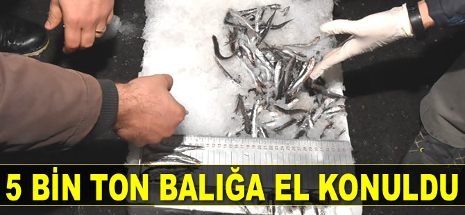 İstanbul’da balıkçılara baskın: 5 ton balığa el konuldu