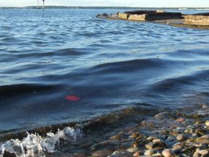 Denize atık bırakanlara ceza 5 kat artıyor