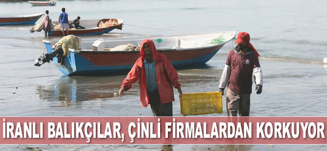 İranlı balıkçılar, ABD yaptırımlarından değil; Çinli balık firmalarından korkuyor