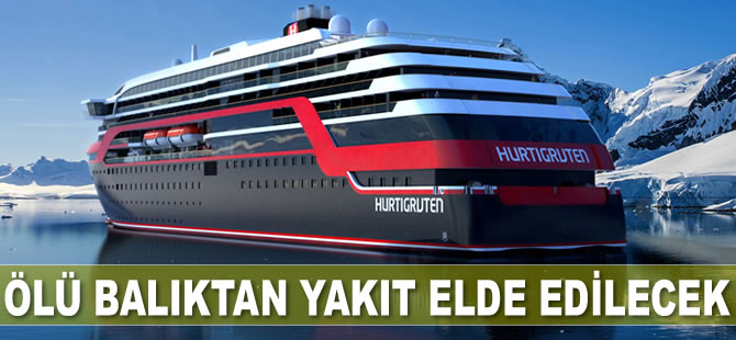 Norveç'te ölü balıktan yakıt elde edilecek