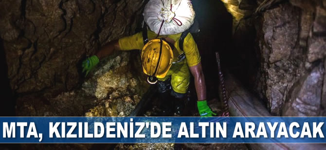 Maden Tetkik ve Arama, Kızıldeniz'de altın arayacak