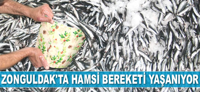 Zonguldak’ta hamsi bereketi yaşanıyor