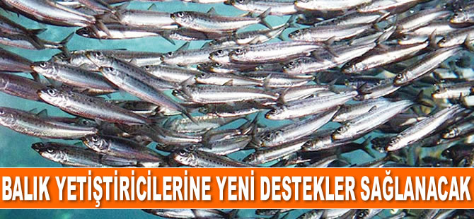 Balık yetiştiricilerine yeni destekler sağlanacak