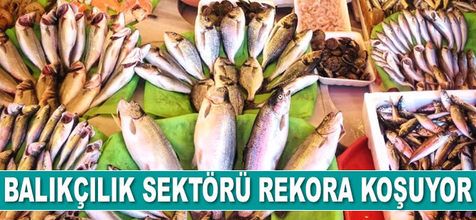 Türkiye, balıkçılık sektöründe rekora koşuyor