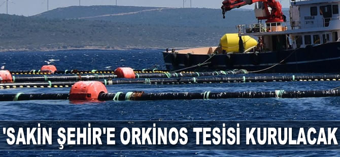 ‘Sakin Şehir’e orkinos tesisi kurulacak