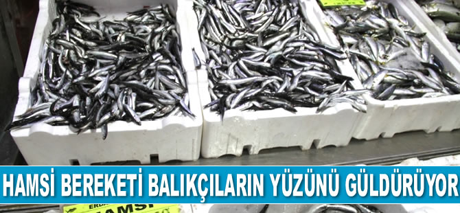 Hamsi bereketi balıkçıların yüzünü güldürüyor
