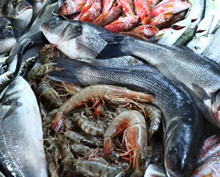 Balıklar için refah genelgesi yayınlandı