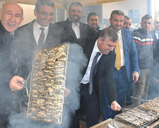 Sinop'ta 2,5 ton hamsi 2 saatte tüketildi
