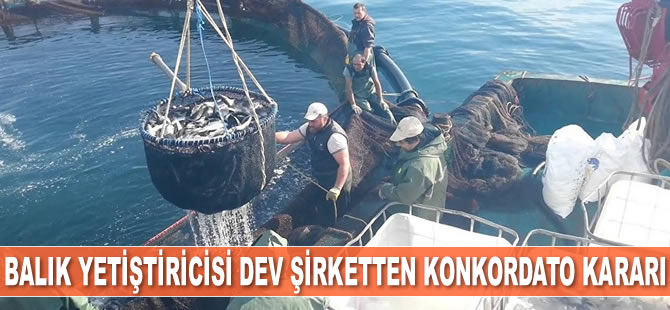 Agromey, üç şirketi için konkordato istedi