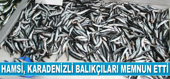 Hamsi, Karadenizli balıkçıları memnun etti