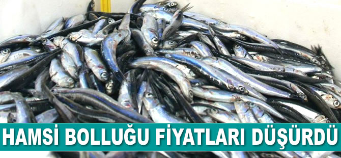 Hamsi bolluğu fiyatları düşürdü