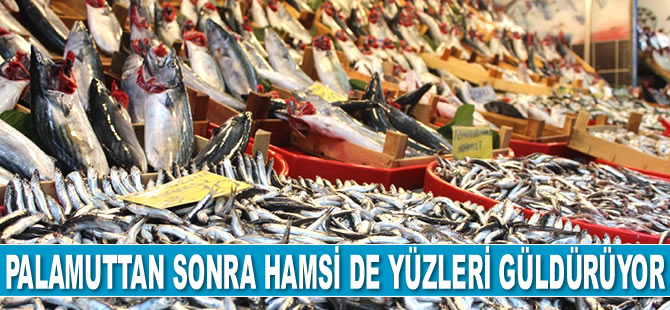 Karadeniz’de palamuttan sonra hamsi de yüzleri güldürüyor