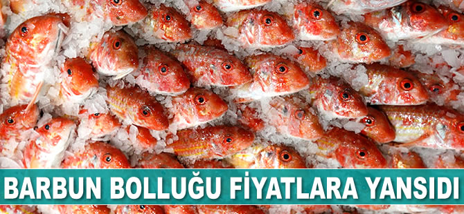 Barbun bolluğu fiyatlara yansıdı