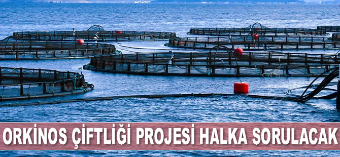 Orkinos çiftliği projesi halka sorulacak
