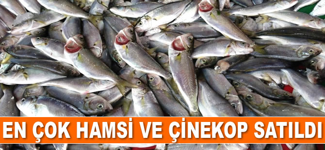 En çok hamsi ve çinekop satıldı