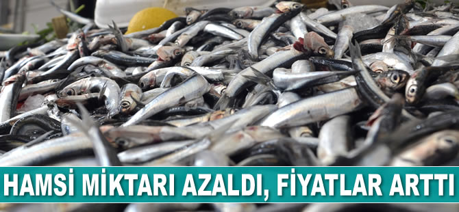 Hamsi miktarı azaldı, fiyatlar arttı