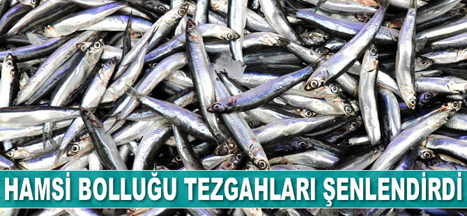 Hamsi bolluğu tezgahları şenlendirdi