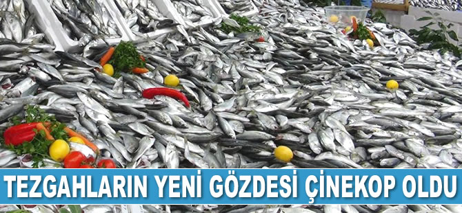 Tezgahların yeni gözdesi çinekop oldu