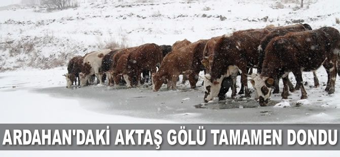Ardahan’daki Aktaş Gölü tamamen dondu