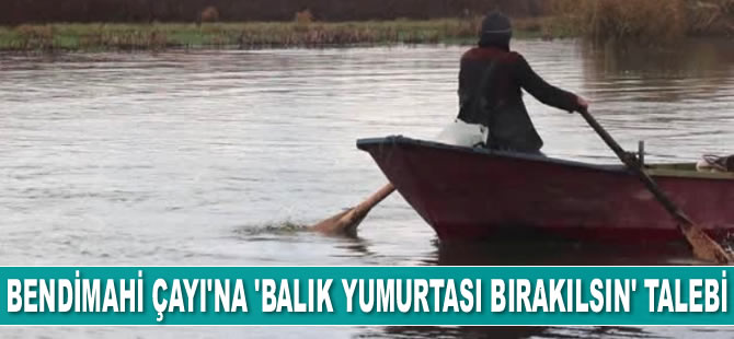 Bendimahi Çayı'na ‘balık yumurtası bırakılsın’ çağrısı yapıldı