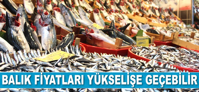 Balık fiyatları yükselişe geçebilir