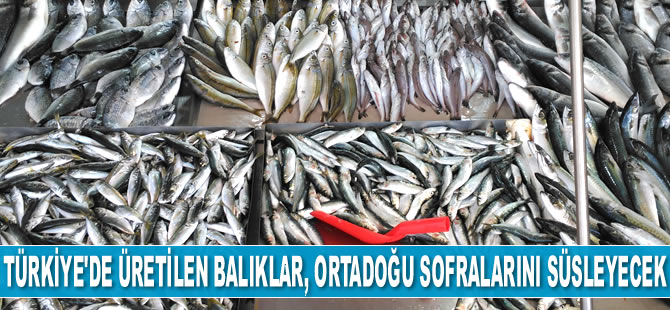 Türkiye'de üretilen balıklar, Ortadoğu sofralarını süsleyecek