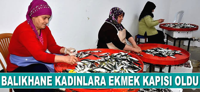 Trabzon’da balıkhane kadınlara ekmek kapısı oldu