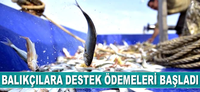 Küçük ölçekli avcılık yapan balıkçılara destek ödemeleri başladı