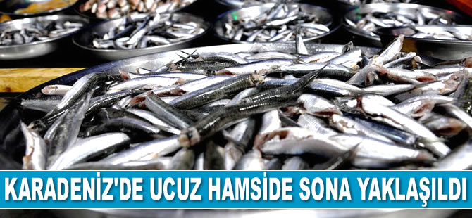 Karadeniz’de ucuz hamside sona yaklaşıldı