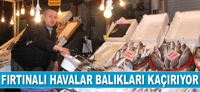 Fırtınalı havalar balıkları kaçırıyor