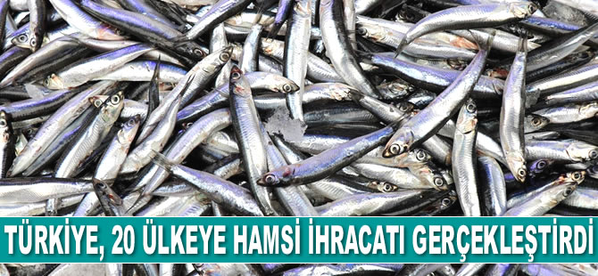 Türkiye, 20 ülkeye hamsi ihracatı gerçekleştirdi