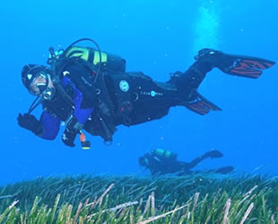 Türkiye ve Bulgaristan’ın deniz çayırları korunacak