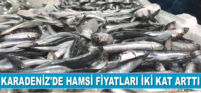 Karadeniz’de hamsi fiyatları iki kat arttı