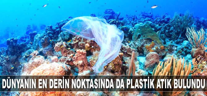 Dünyanın en derin noktası Mariana Çukuru'nda da plastik atık bulundu