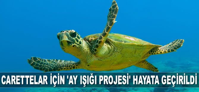 Köyceğiz’de deniz kaplumbağaları için ‘Ay Işığı Projesi' hayata geçirildi