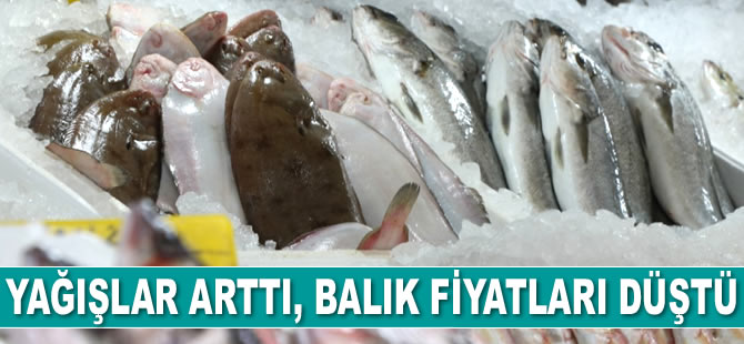 Yağışlar arttı, balık fiyatları düştü