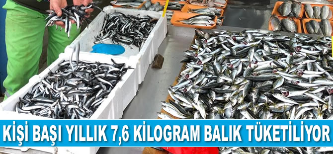 Türkiye’de kişi başı yıllık 7,6 kilogram balık tüketiliyor