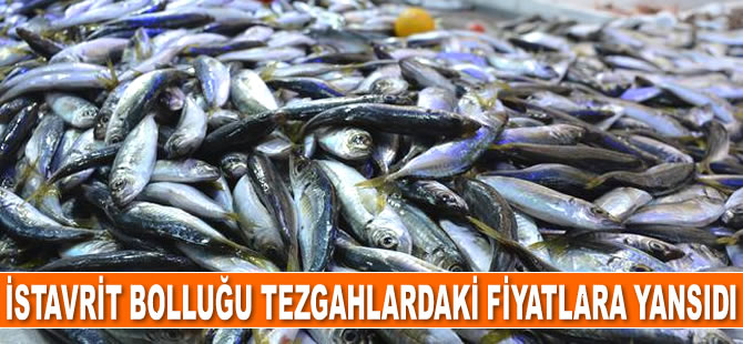 Karadeniz'de istavrit bolluğu tezgahlardaki fiyatlara yansıdı
