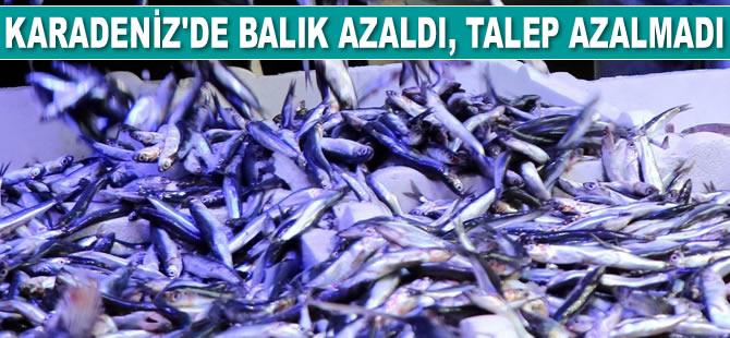 Karadeniz'de balık azaldı, talep azalmadı