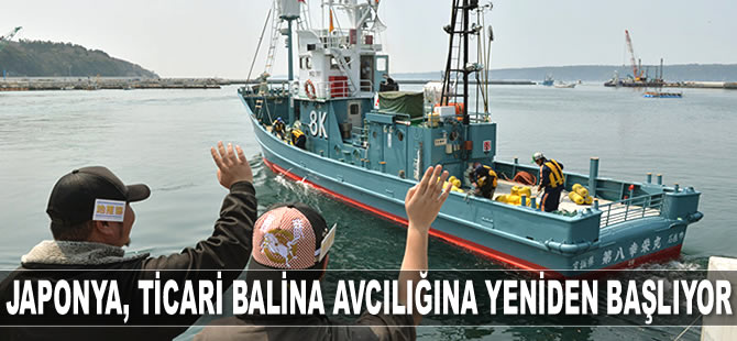Japonya, ticari balina avcılığına yeniden başlıyor