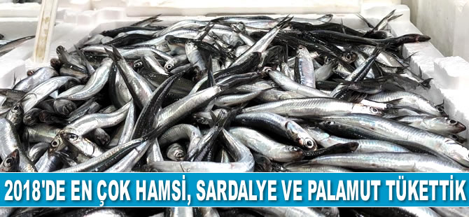 2018'de en çok hamsi, sardalye ve palamut tükettik