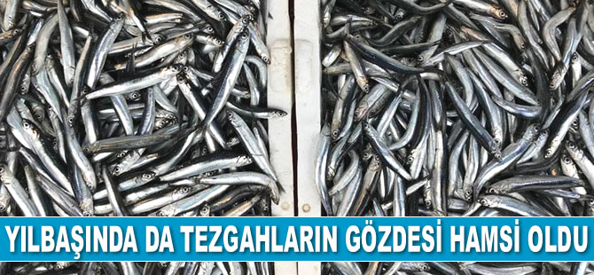 Yılbaşında da tezgahların gözdesi hamsi oldu