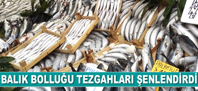 Edirne’de balık bollaştı, tezgahlar şenlendi