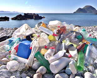 2050 yılında denizlerde balıktan çok plastik olacak