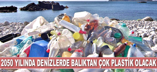 2050 yılında denizlerde balıktan çok plastik olacak