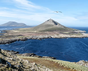 Arjantin, Falkland Adaları için çözüm arıyor