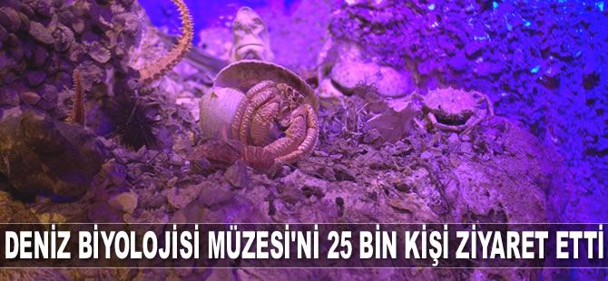 Antalya Deniz Biyolojisi Müzesi’ni 25 bin kişi ziyaret etti