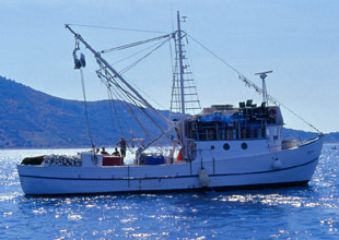 Ordu'da balık avcılarına 24 metre denetimi