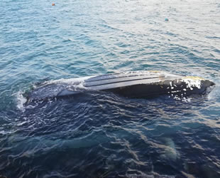 Bozcaada’da şiddetli fırtına tekne batırdı